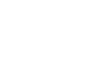 MINI Service